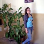 holand5