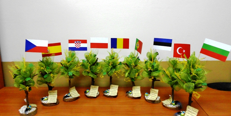 vizita bg1
