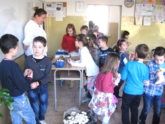 1klas predpriemachi1