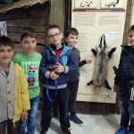 Русе