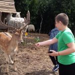 Левски