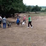 Левски