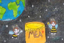 мед