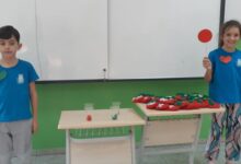 живот