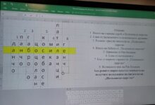 Ран Босилек