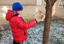 природата