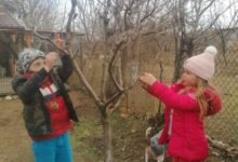 природата
