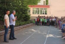 Дендрариум