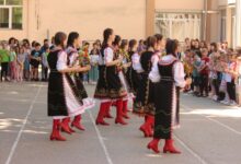 Дендрариум
