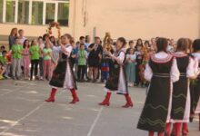 Дендрариум