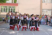 Дендрариум