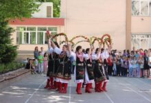 Дендрариум